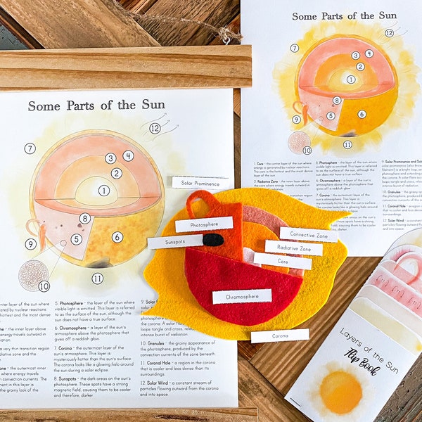 Parts of the Sun Science Resource Pack // Homeschool Science Resources // Sun Poster // Sun Diagram Felt Template // Flip book // Printable