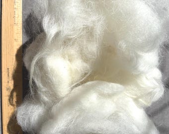 Puede incluir: Primer plano de un montón de fibra blanca y suave. La fibra parece esponjosa y similar a una nube, con una textura ligera. Una regla de madera con marcas en pulgadas es visible en el lado izquierdo, proporcionando una referencia de tamaño. La fibra es probablemente para manualidades o textiles.