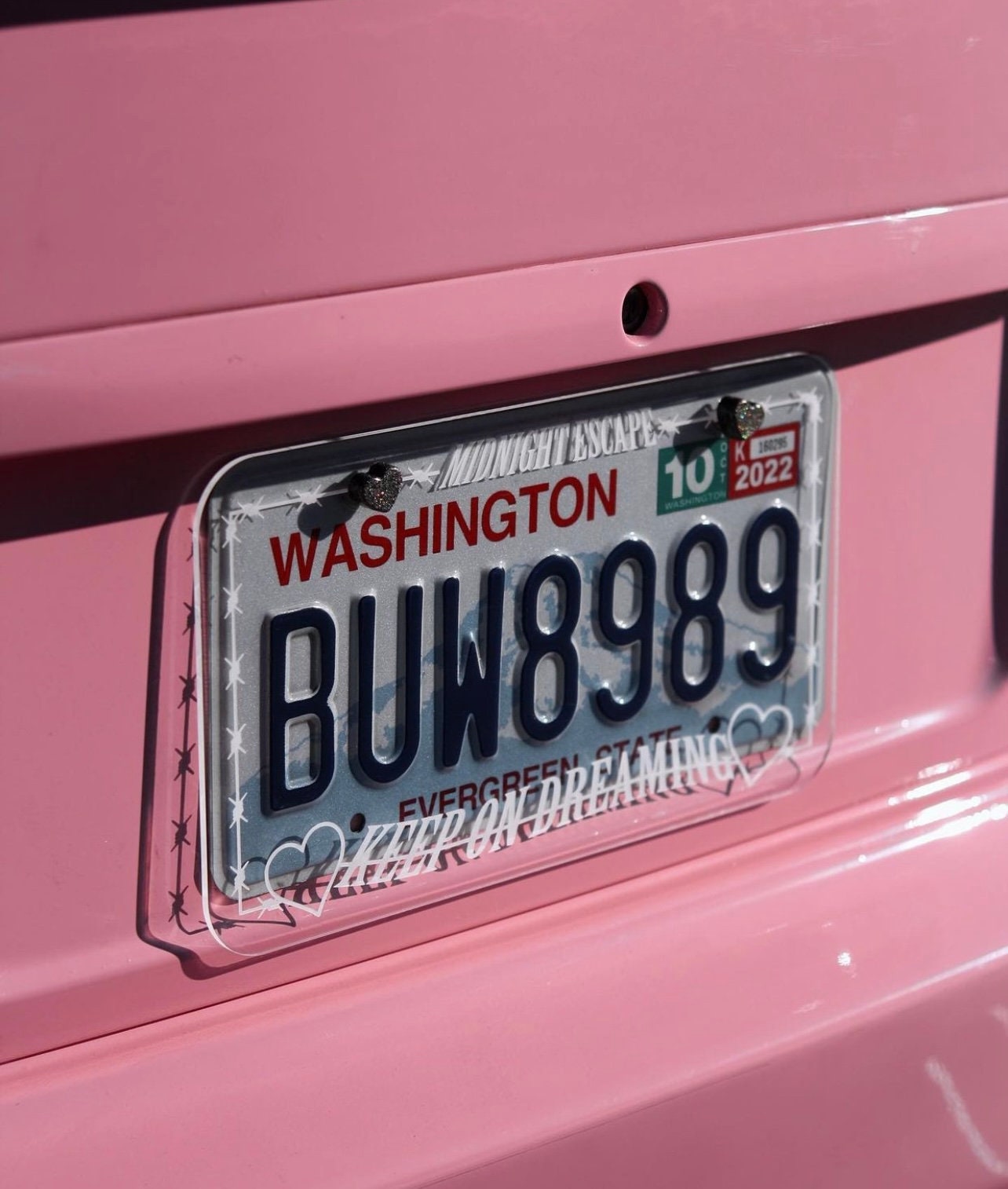 Custom Vanity Cover License Plate License Plate Delete Etsy