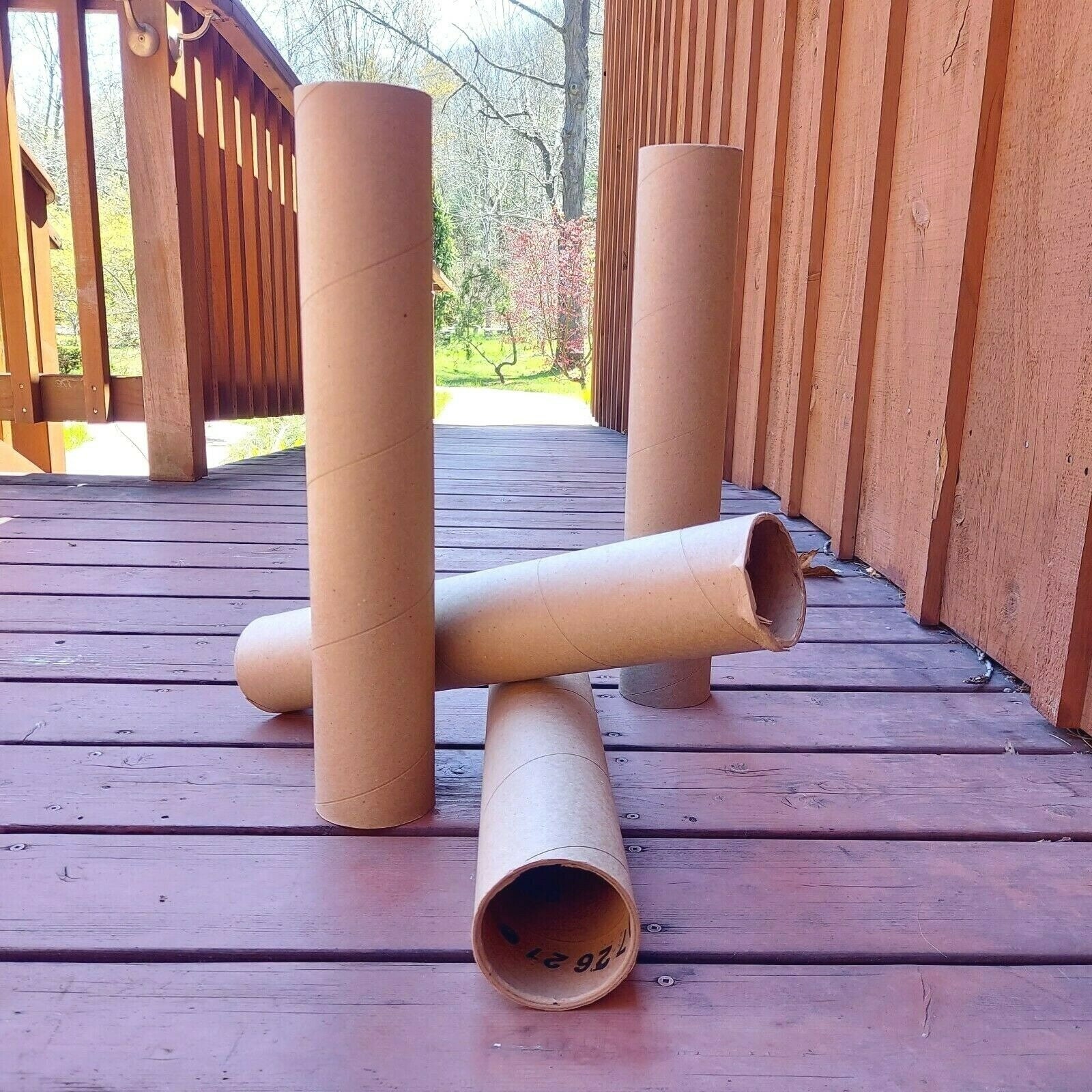 Set of 6 Cardboard Tubes, Craft Paper Tubes, Sturdy, Craft Supply,  Gardening 