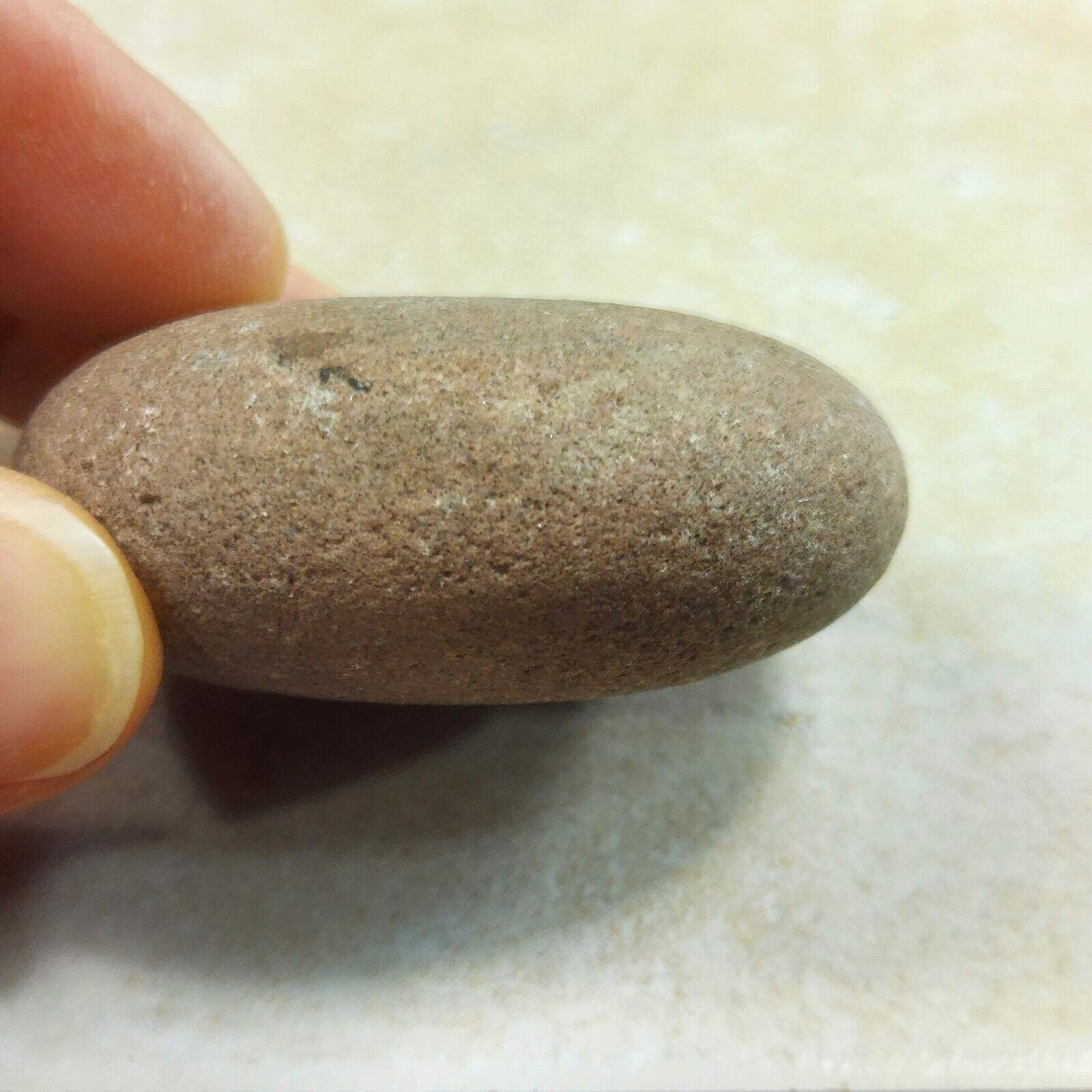 Quit Button Stone Rare Round Button Rock Stone: Catskill Mountains Collectible - Etsy