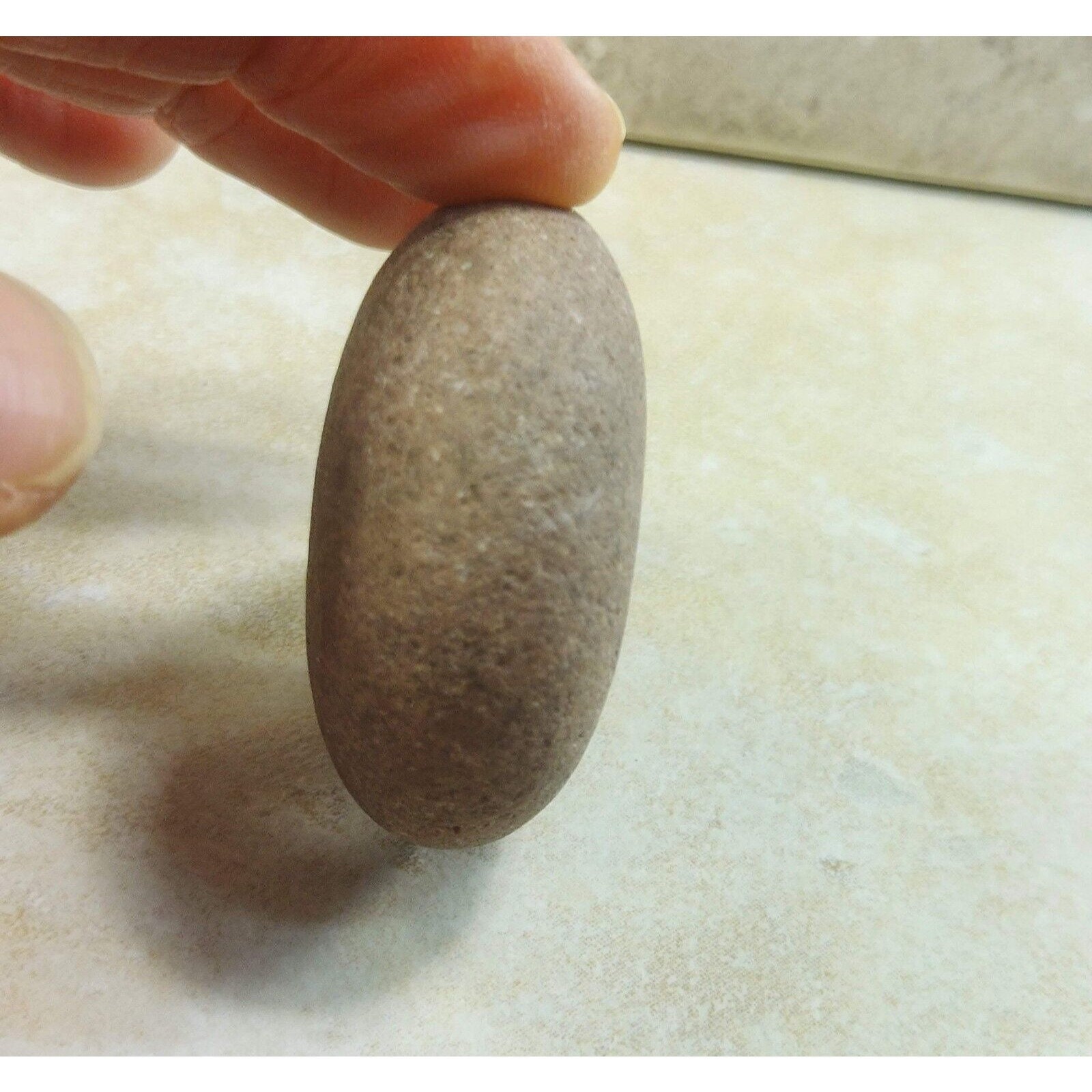 Rare Round Button Rock Stone: Catskill Mountains Collectible - Etsy