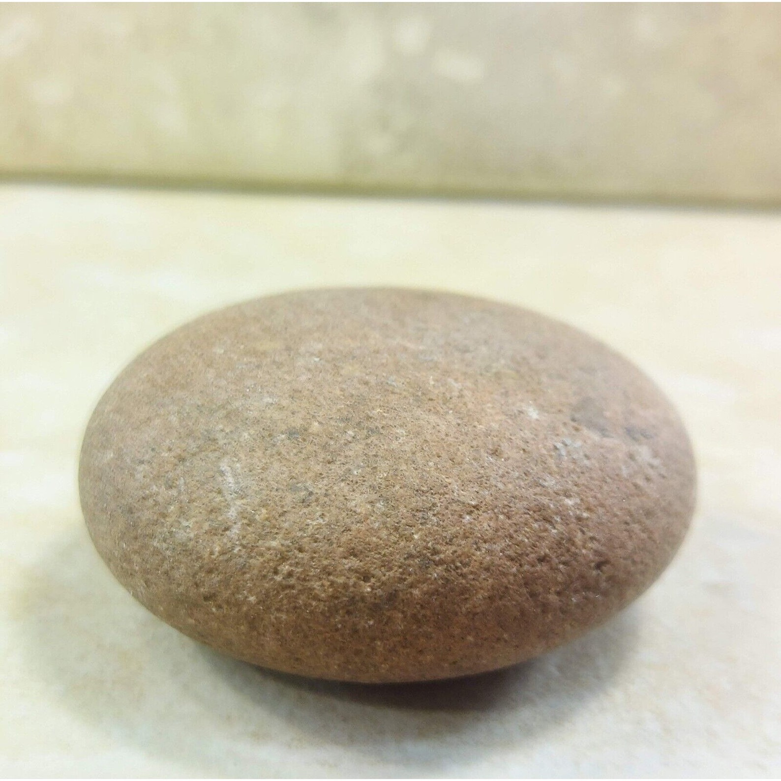 Quit Button Stone Rare Round Button Rock Stone: Catskill Mountains Collectible - Etsy