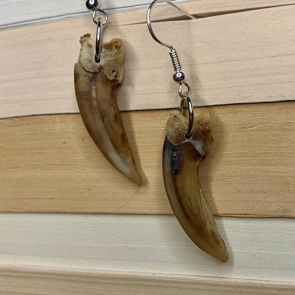 Badger Claw Earrings