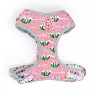 Luva-bullz Harness - Flamingo Dog Harness