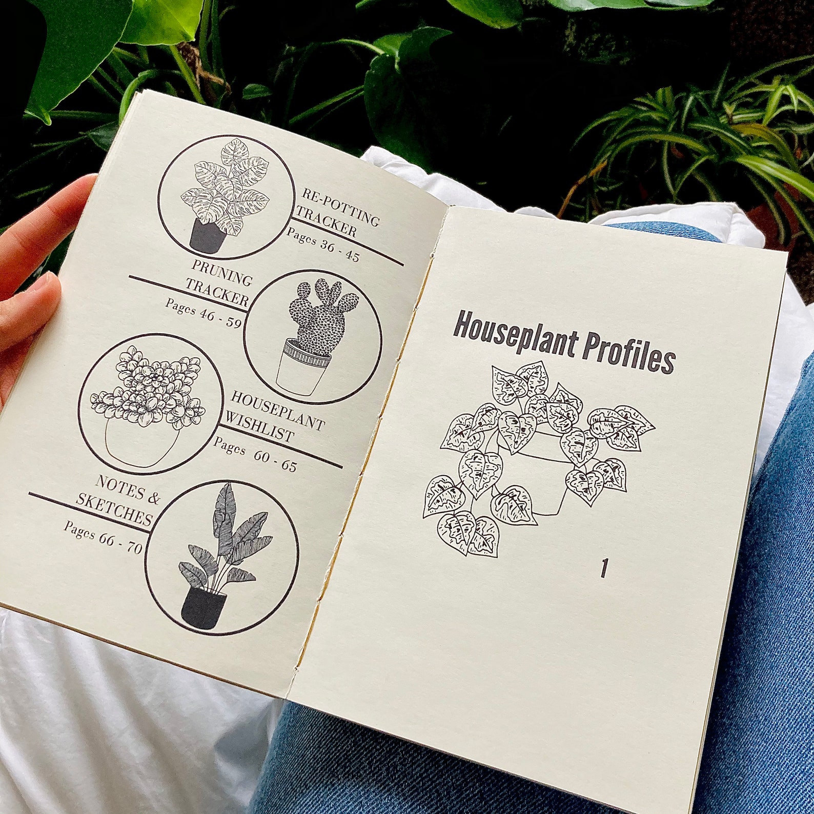 Downloadable Houseplant Care Book Etsy