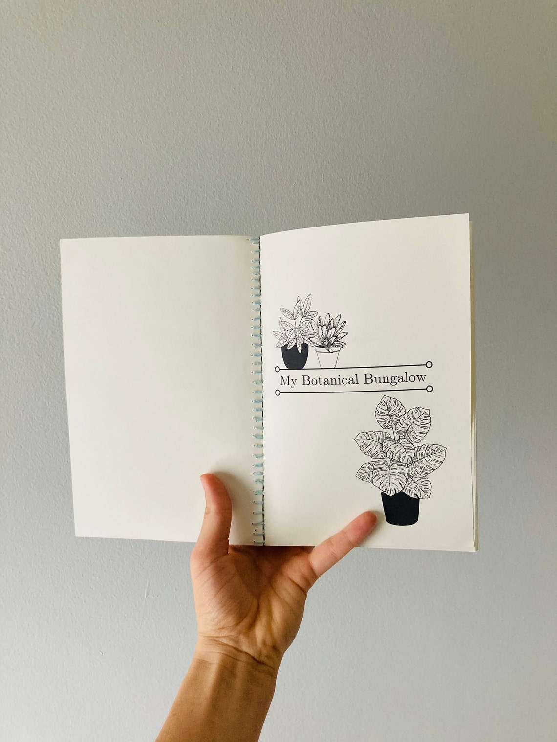 Downloadable Houseplant Care Book Etsy