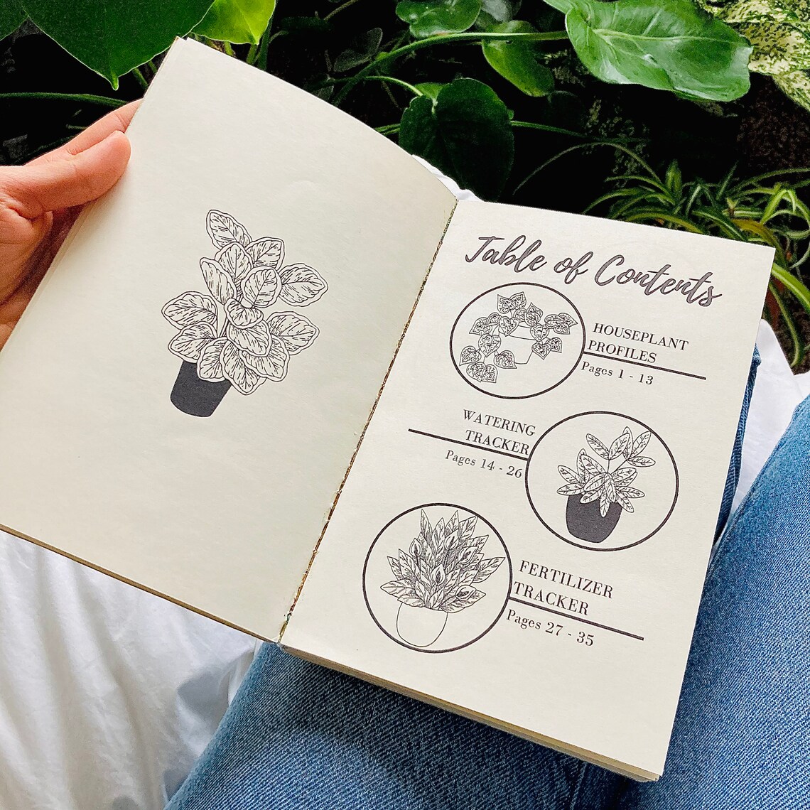 Downloadable Houseplant Care Book Etsy