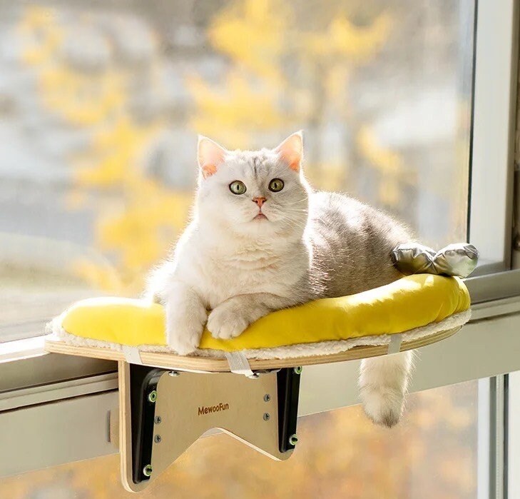 Cat Window Perch Cat Bed Cat Furniture Cat Window Bed Cat Etsy