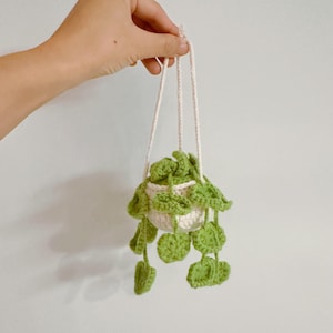 Könnte beinhalten: Eine gehäkelte Hängepflanze mit einem weißen Topf und grünen Blättern. Die Pflanze wird von weißen Kordeln gehalten, was eine charmante, handgefertigte Ästhetik erzeugt. Die Blätter fallen nach unten und verleihen jedem Raum einen Hauch von Natur.