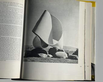 The Evolution of Modern Sculpture, 1969