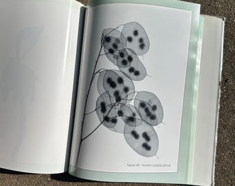 El jardín secreto, 100 radiografías florales, Albert G. Richards, 1990