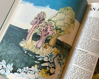 Plantas y flores, 1974