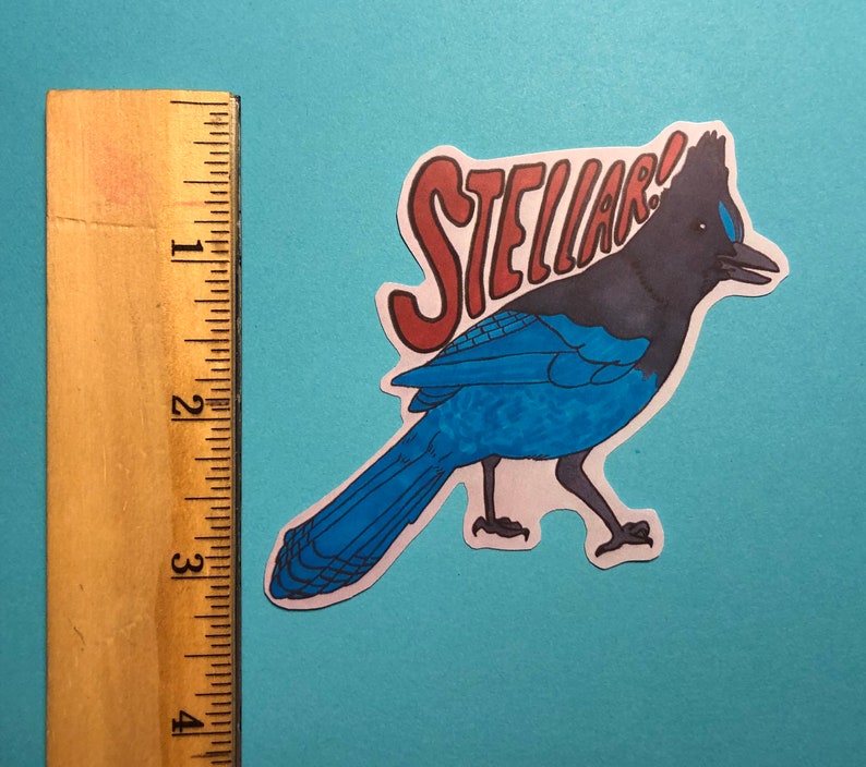Stellers Jay Sticker