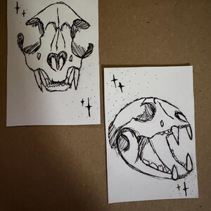Puede incluir: Dos dibujos en blanco y negro de calaveras de animales sobre papel blanco. Una calavera tiene forma de coraz&oacute;n en el centro. Ambos dibujos est&aacute;n rodeados de peque&ntilde;as formas de estrella. Los dibujos est&aacute;n sobre una superficie marr&oacute;n.