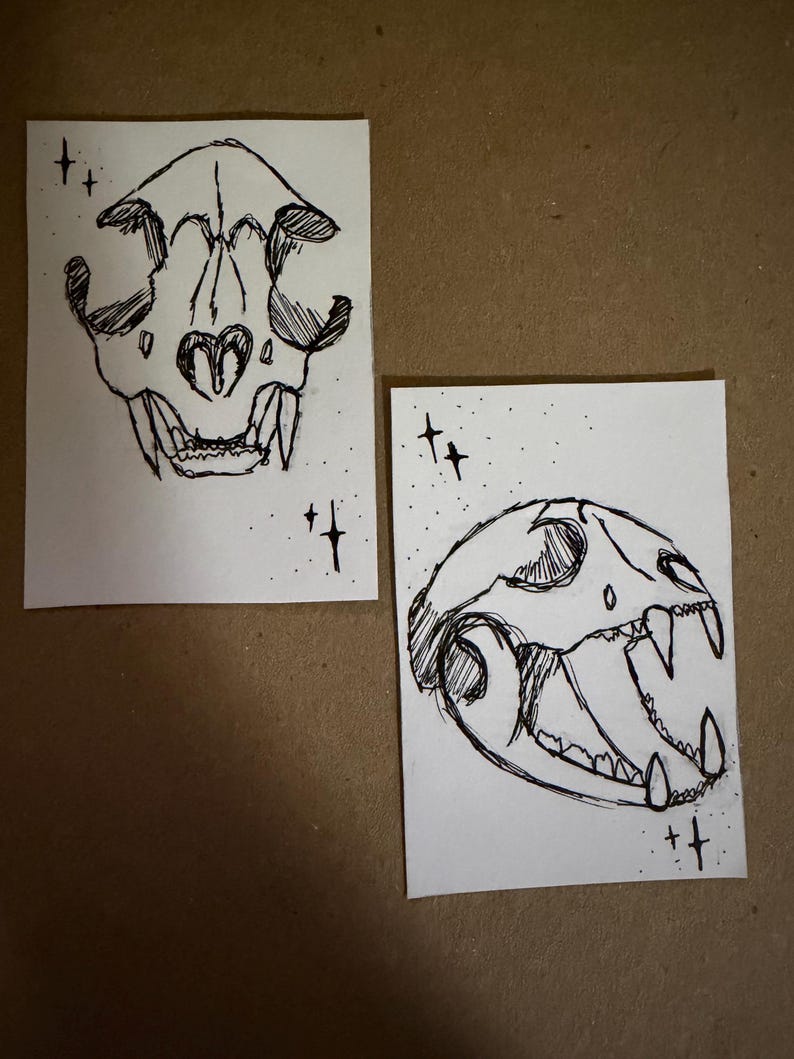 Puede incluir: Dos dibujos en blanco y negro de calaveras de animales sobre papel blanco. Una calavera tiene forma de coraz&oacute;n en el centro. Ambos dibujos est&aacute;n rodeados de peque&ntilde;as formas de estrella. Los dibujos est&aacute;n sobre una superficie marr&oacute;n.