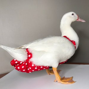 High quality Duck diaper, Goose diaper, TURKEY GIRL diaper, open tail, bird diaper, pants bird suit