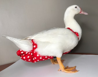Duck/Goose Diaper: Washable Cotton Bird Suit with Open Tail