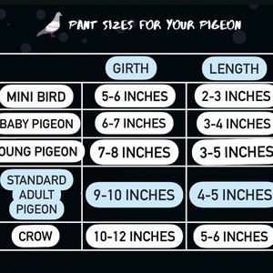 Pigeon & Dove Pants gift harness ribbon length 38 inches/100cm Diaper Flight Suit Clothes Parakeet Parrot image 7