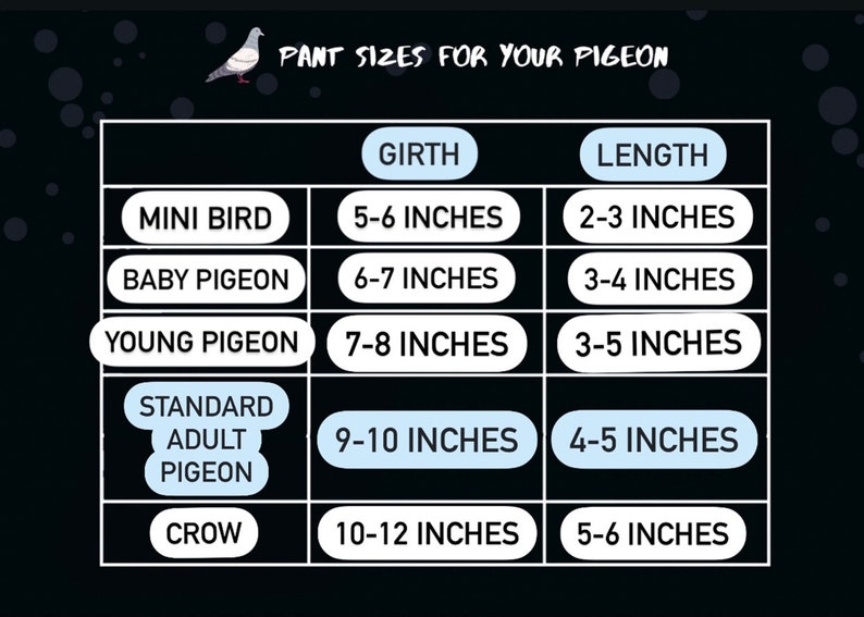 Pigeon & Dove Pants gift harness ribbon length 38 inches/100cm Diaper Flight Suit Clothes Parakeet Parrot image 7