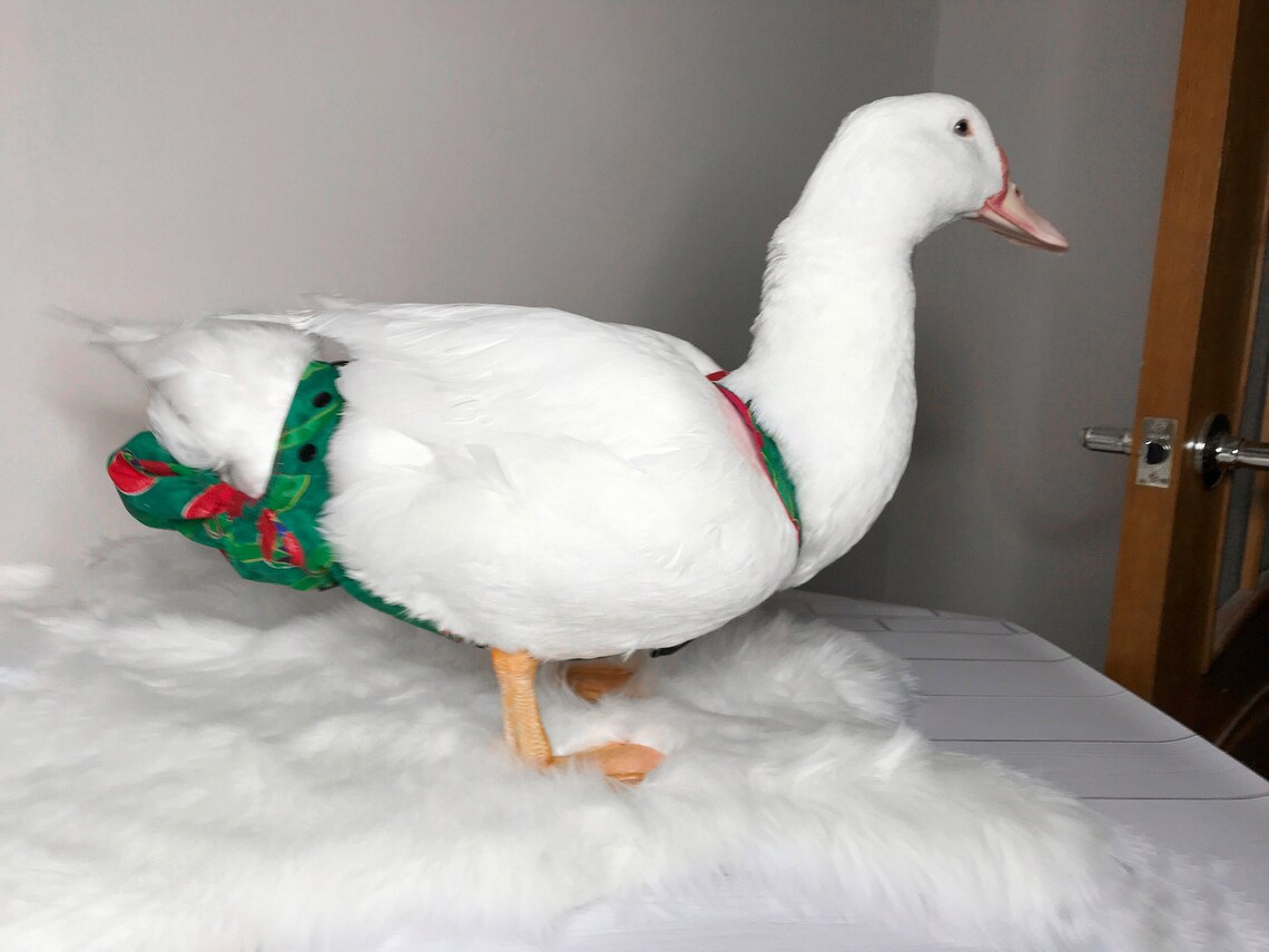 High Quality Handmade Duck Diaper Goose Diaper Chicken Etsy