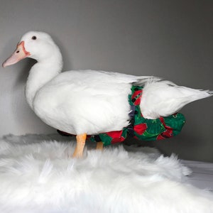 High quality diaper for +- 1.8 kg / 4 lbs ducks and geese, open tail, bird diaper, pants bird suit