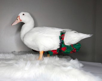 Duck Diaper – Washable Cotton Bird Suit, Open Tail