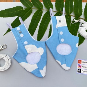 Set of 2 Pigeon Pants | The leash is not included in the set. Bird Diaper Flight Suit Clothes, dove pants Parakeet Parrot