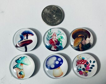 Six mushroom magnets, mushrooms, 25 mm size mushroom magnets, modern illustration mushroom magnets, whimsical mushroom