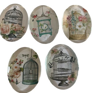 Birdcage  magnets, bird magnets, beautiful magnets,5 large magnets,magnets, birdcage