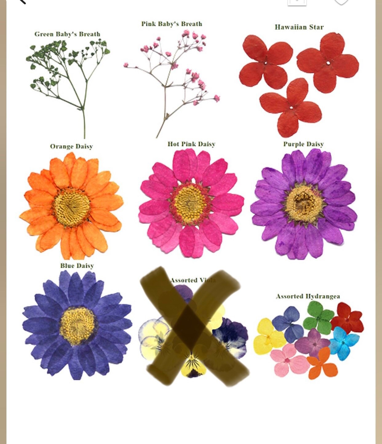 Resin Ring Holder Pressed Flower Ring holder Ring Display Etsy