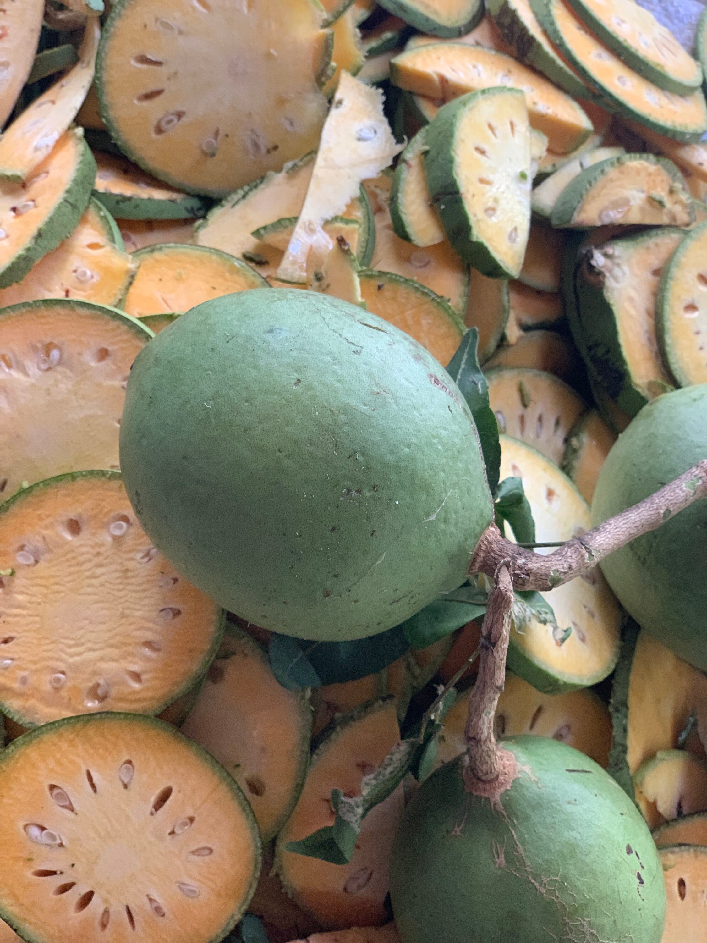 Organic Dried Bael Fruit Tea Aegle Marmelos Dried Bael Etsy