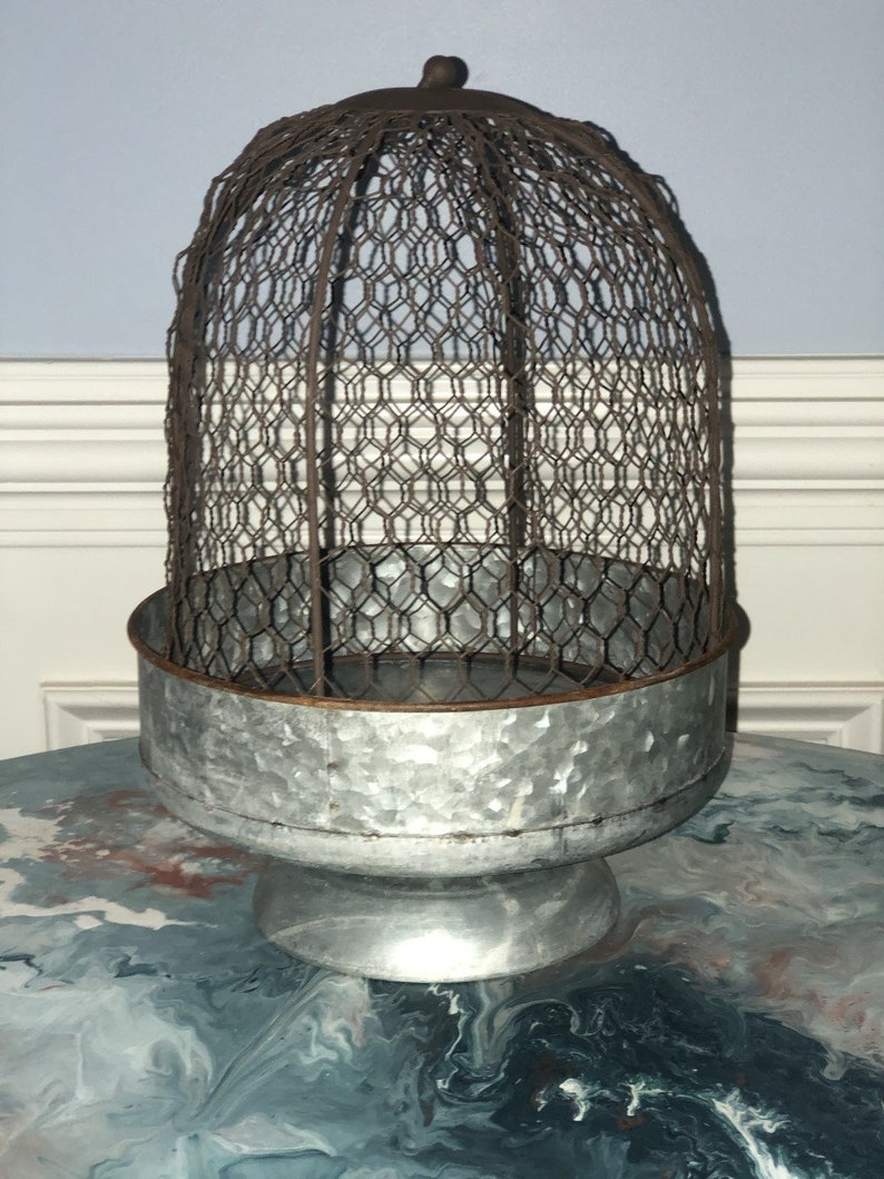 Chicken wire cloche Etsy