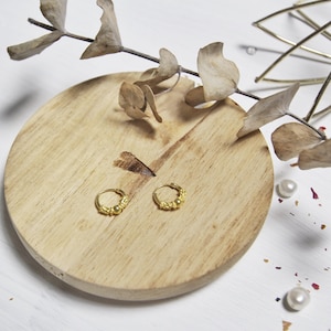 Wasserfest Ohrringe, Ohrringe gold, creolen gold, minimalistischen Reifen, Ohrringe Hoops Kreolen, small helix hoop, waterproof earring