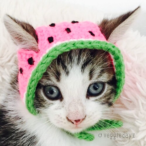 Flower Cat Hat Crochet Hat for Cat or Kitten Cat Gift Etsy