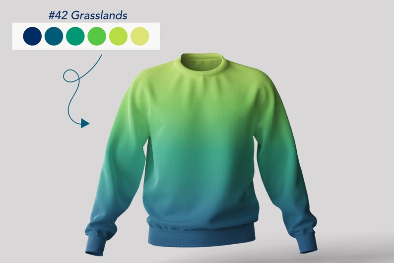Op de afbeelding: Een groen en blauw ombre sweatshirt. Het sweatshirt is een ronde hals met lange mouwen. De kleurverloop gaat van een lichtgroen aan de bovenkant naar een donkerblauw aan de onderkant.
