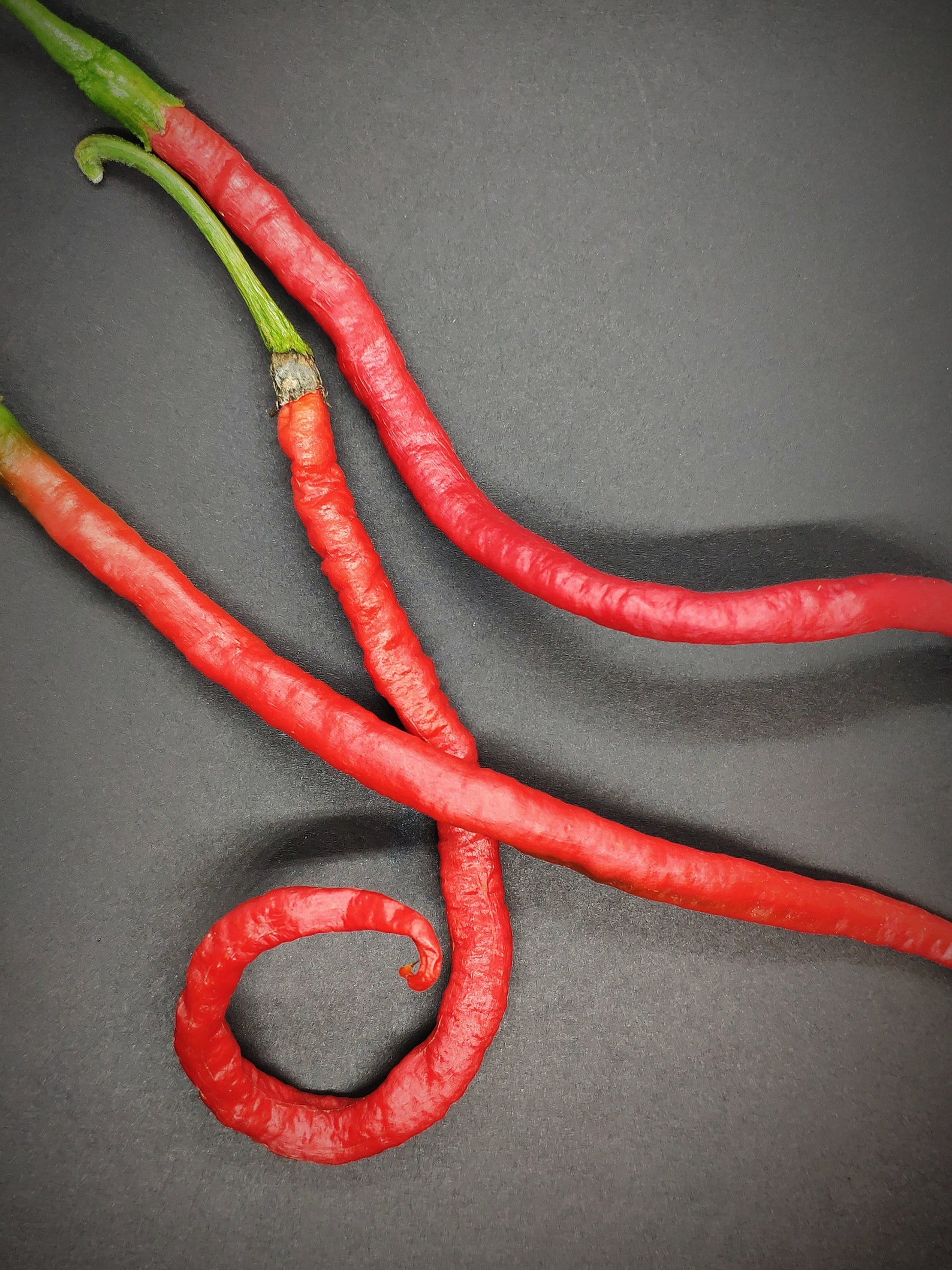 Thunder Mountain Longhorn Pepper Seeds | Etsy