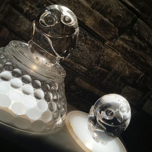 1 Pair Steuben Blown Glass &quot;Owl&quot; Hand Coolers / 1-&quot;Owl&quot; in V.G.C. and other &quot;Owl&quot; has Chip on it (see picture #5) to your Left