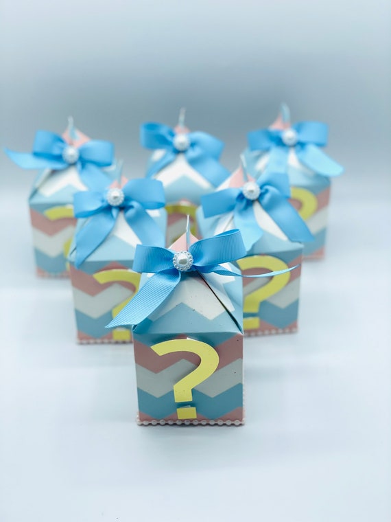 Gender Reveal party favor Gift Gender Reveal Decor bag goodie Etsy