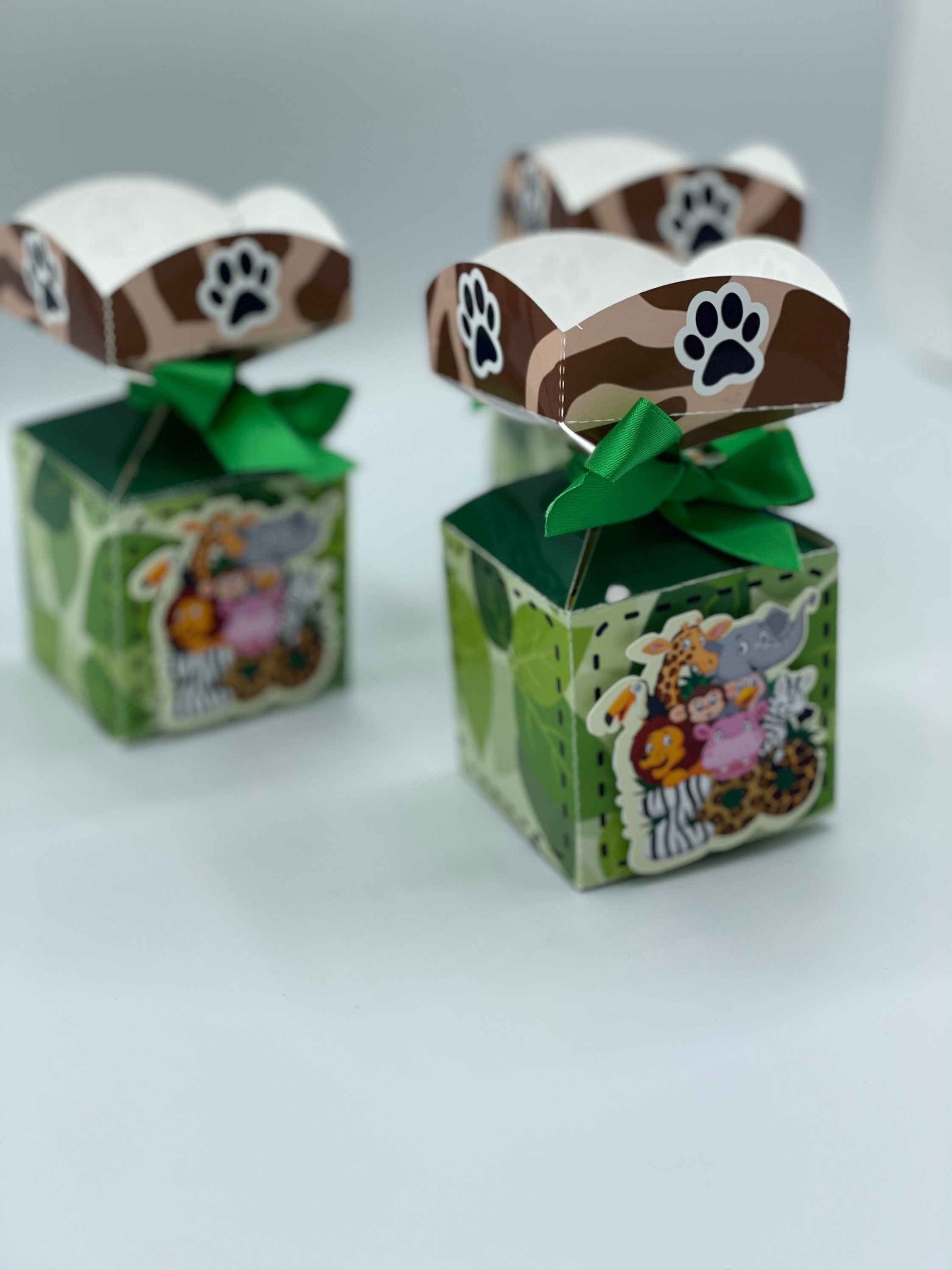Safari Birthday Party Box Party Favors Safari Candy Box Treat Etsy UK
