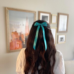 Ribbon Hair Clip