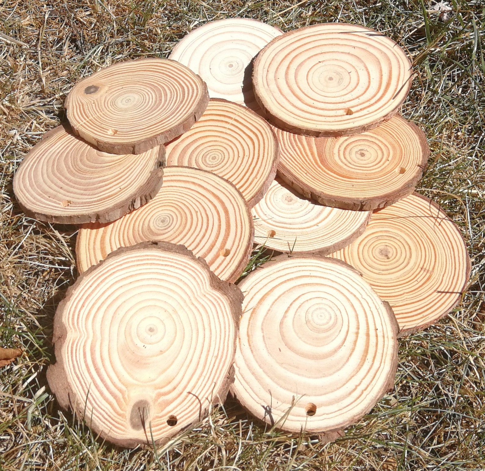 Action Rondin Bois | Rond De Bois Action – DMXLPF