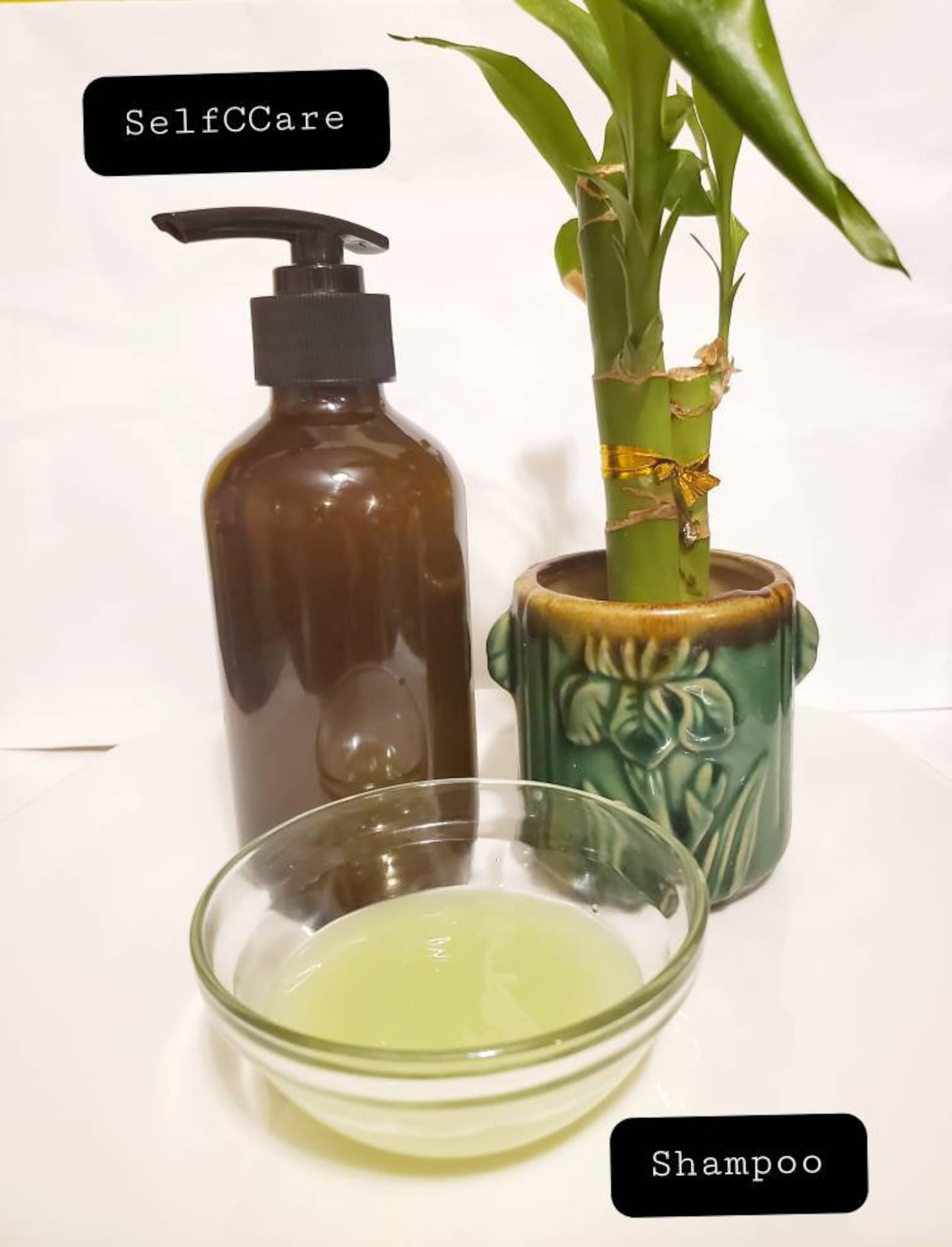 Aloe Vera Shampoo 8 oz Natural & Homemade Shampoo Etsy