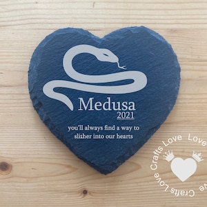 May include: A blue heart-shaped slate plaque with a white snake design and the text "Medusa 2021 you'll always find a way to slither into our hearts".