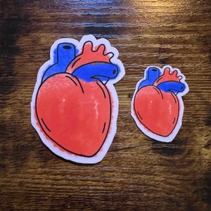 Heart/Cardiology Sticker