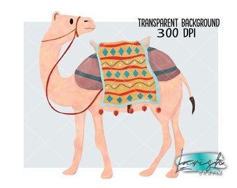 Camel PNG, Instant Download, Digital, Sahara, Desert, Cute Animals, Sublimation, Invitation Cards, Stickers, Collage, Clip Art, Kawaii, POD