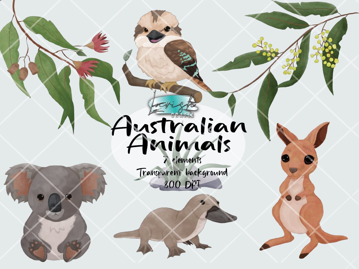 australian-animals-clipart-png-digital-download-300-dpi-etsy-australia