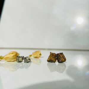 May include: Two pairs of earrings, one pair is silver and the other is brown. The silver earrings are square shaped and the brown earrings are rectangular.