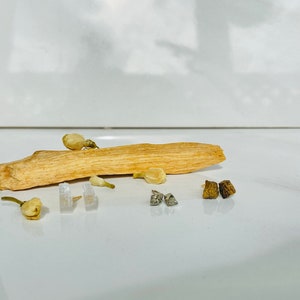 May include: A piece of natural wood with white flowers and small silver and brown square-shaped earrings on a white surface.