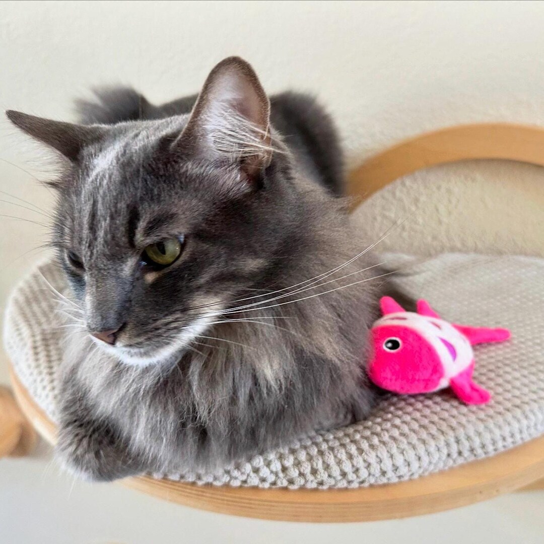 Catnip Filled Crinkle Fish Toy - Etsy